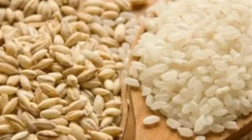 حكم إخراج زكاة الفطر قمحاً وقيمة المقدار المحدد لإخراجها نقداً